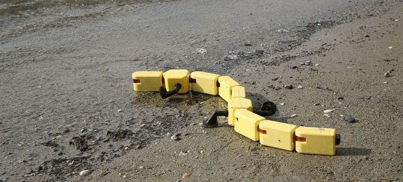 La Salamandre rampant dans l’eau | Source: A. Herzog / Biologically Inspired Robotics Group, EPFL